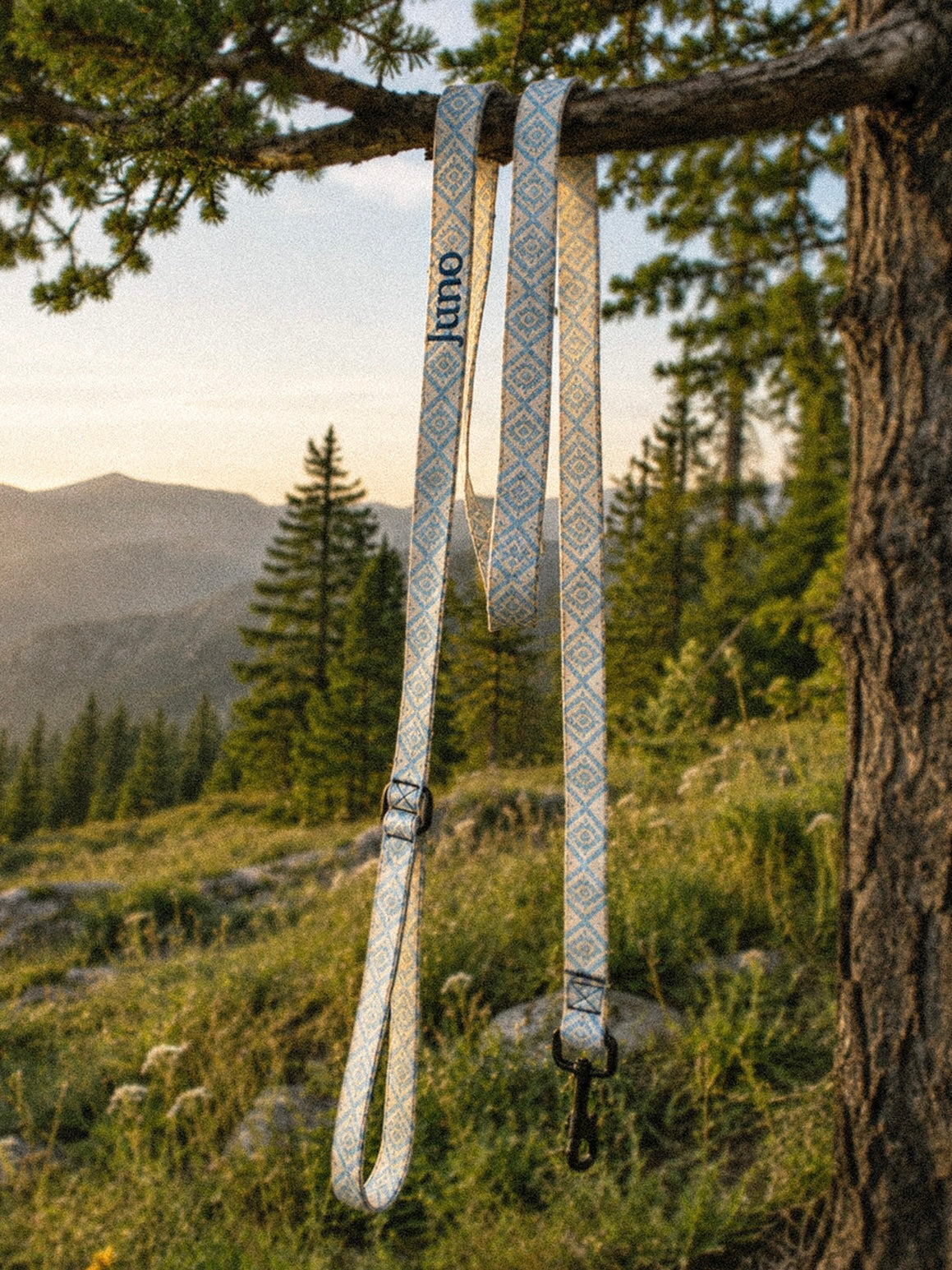 The full length of the leash hangs from a tree branch outdoors, the padded handle loop at the top and the black swivel clasp at the bottom, conifers and a mountain slope beyond in golden light. The webbing is cream, printed with dusty blue ikat diamonds picked out with gold and small cross motifs, and the sample name Juno reads down the handle.