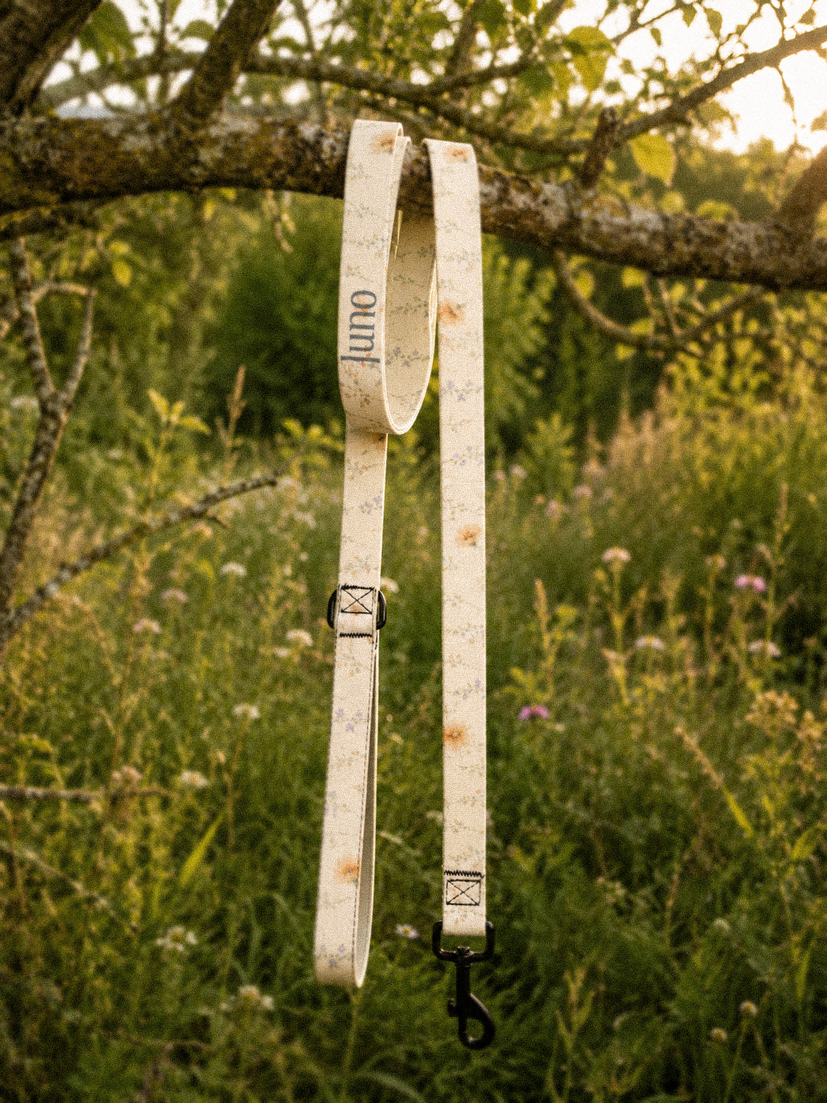 The full length of the leash hangs from a tree branch outdoors, the padded handle loop at the top and the black swivel clasp at the bottom, conifers and a mountain slope beyond in golden light. The webbing is white, printed with small apricot poppies and lilac and periwinkle wildflowers on fine stems, and the sample name Juno reads down the handle.