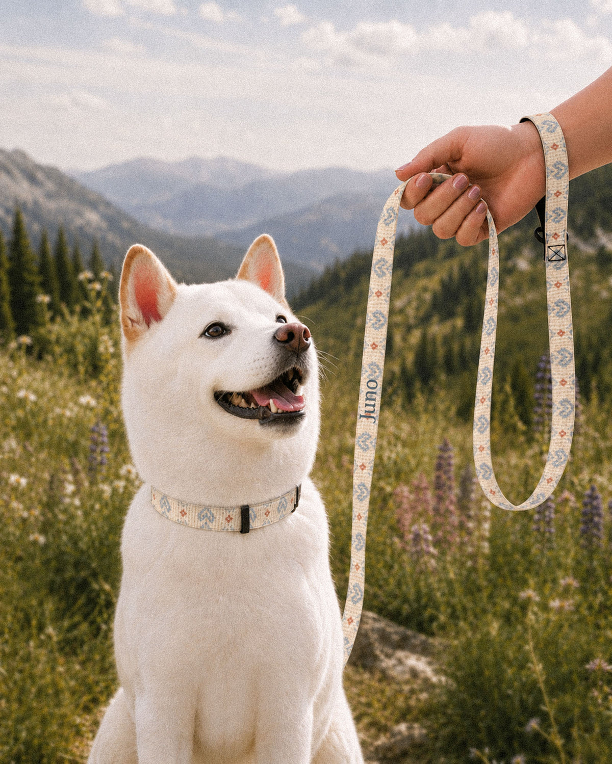 A white Shiba Inu sits in a mountain valley scattered with wildflowers wearing a matching collar while a hand holds the looped leash beside it. The strap is cream, printed with dusty blue zigzag chevrons and stepped diamond motifs with small rust accents, with the sample name Juno running down its length.