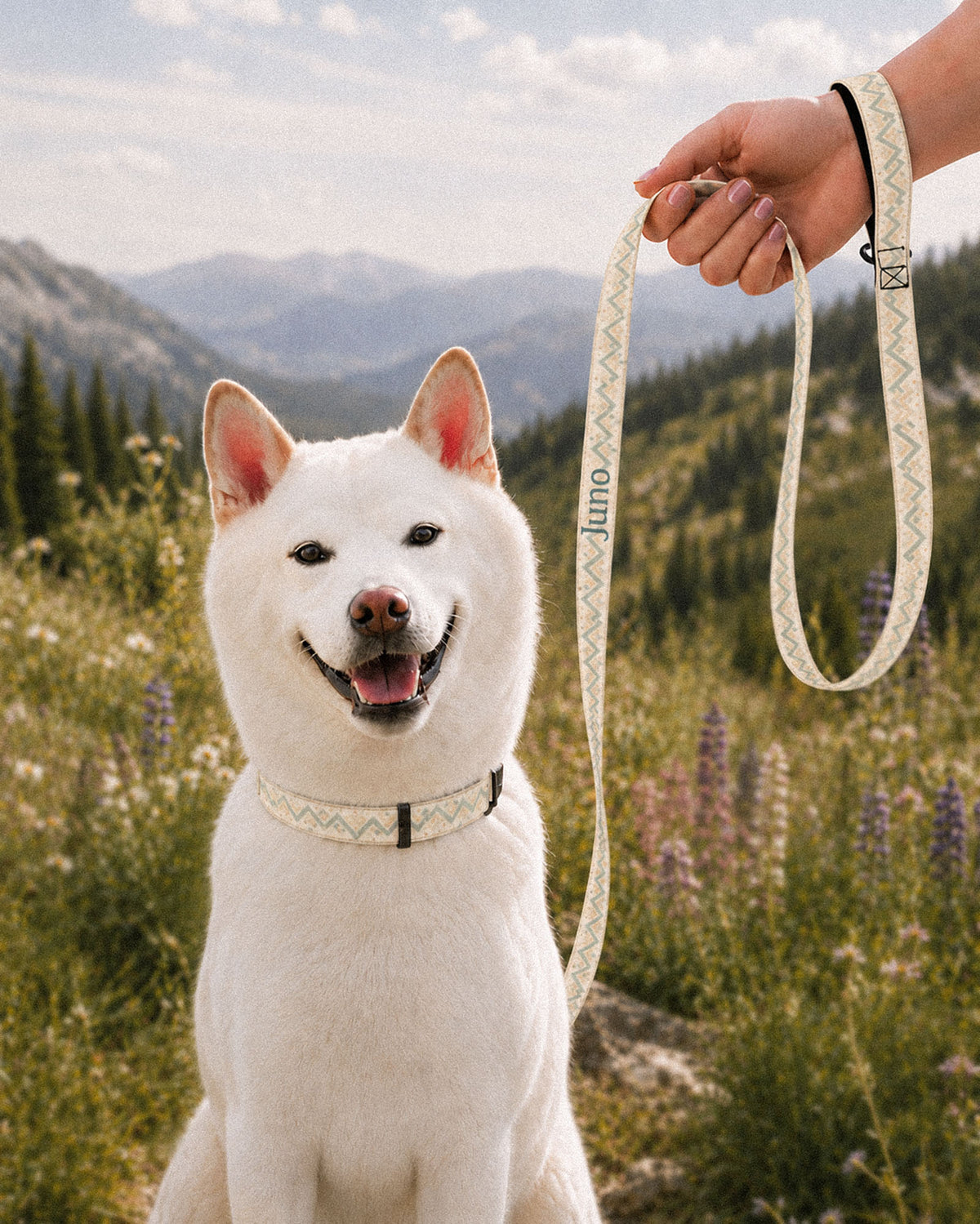 A white Shiba Inu sits in a mountain meadow of lupines wearing a matching collar while a hand holds the looped leash beside it. The strap is cream, banded with sage and apricot chevrons and diamond geometric motifs, with the sample name Juno running down its length.