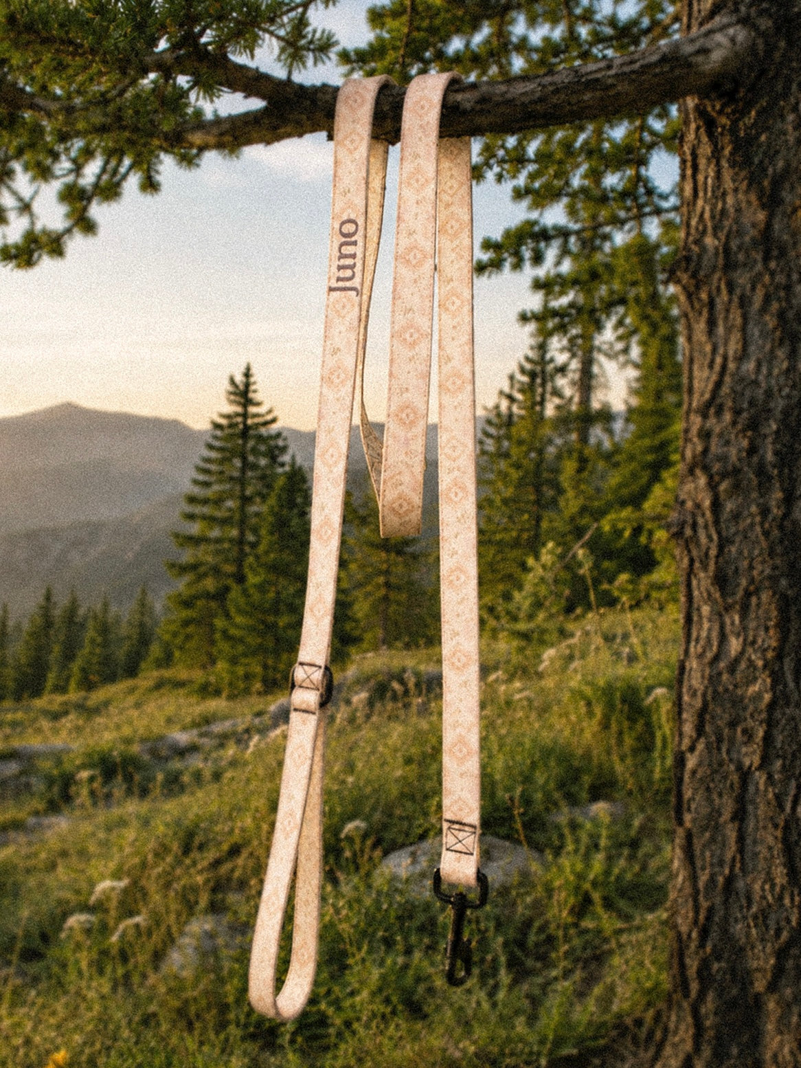 The full length of the leash hangs from a tree branch outdoors, the padded handle loop at the top and the black swivel clasp at the bottom, conifers and a mountain slope beyond in golden light. The webbing is an apricot and peach wash set with cream diamond medallions and fine sprigs, and the sample name Juno reads down the handle.
