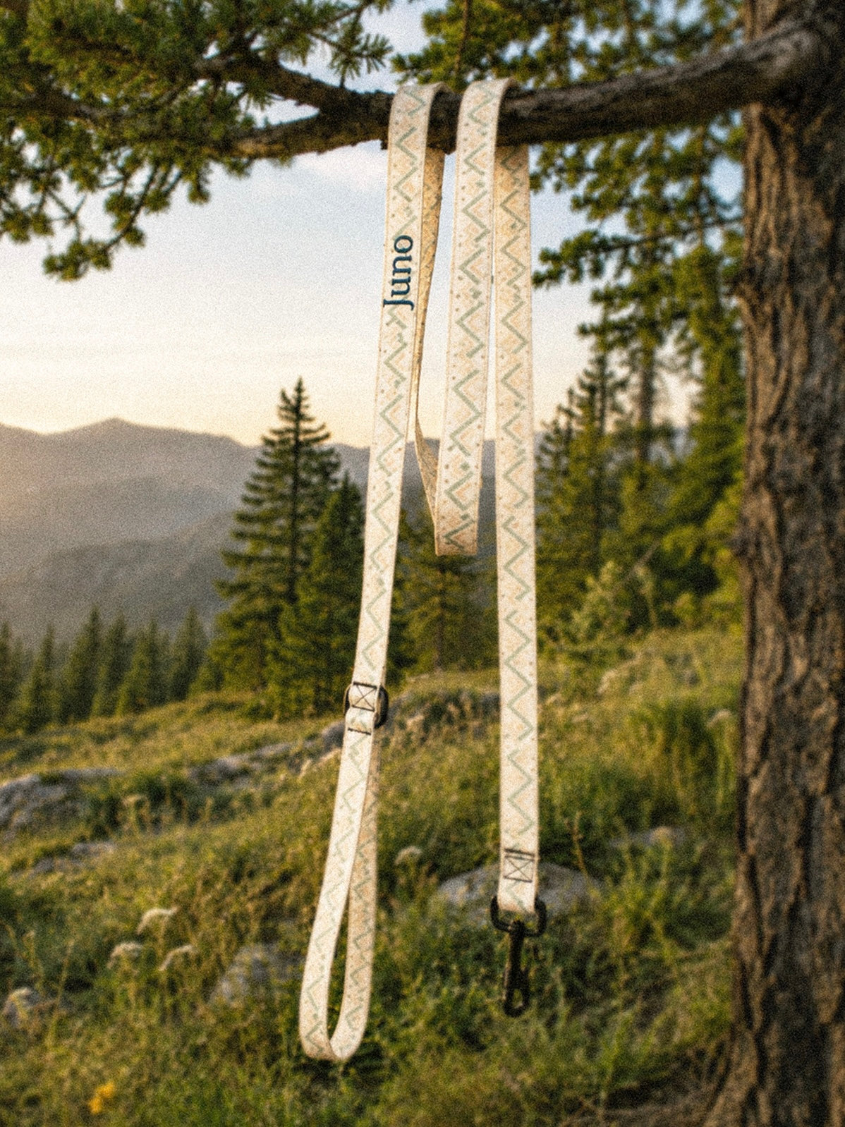 The full length of the leash hangs from a tree branch outdoors, the padded handle loop at the top and the black swivel clasp at the bottom, conifers and a mountain slope beyond in golden light. The webbing is cream, banded with sage and apricot chevrons and diamond geometric motifs, and the sample name Juno reads down the handle.