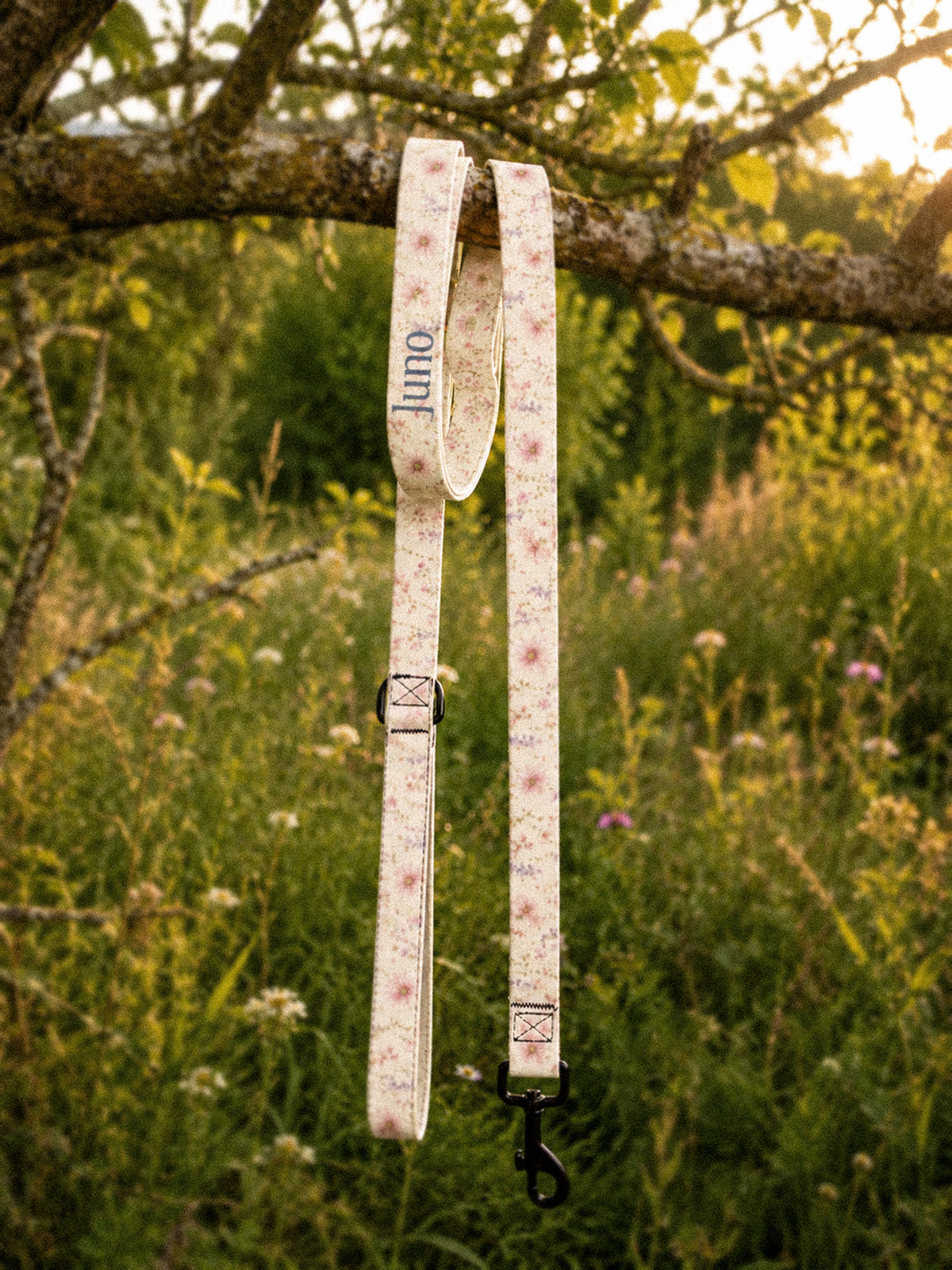 The full length of the leash hangs from a tree branch outdoors, the padded handle loop at the top and the black swivel clasp at the bottom, conifers and a mountain slope beyond in golden light. The webbing is white, densely printed with pink, lilac and periwinkle wildflowers, and the sample name Juno reads down the handle.