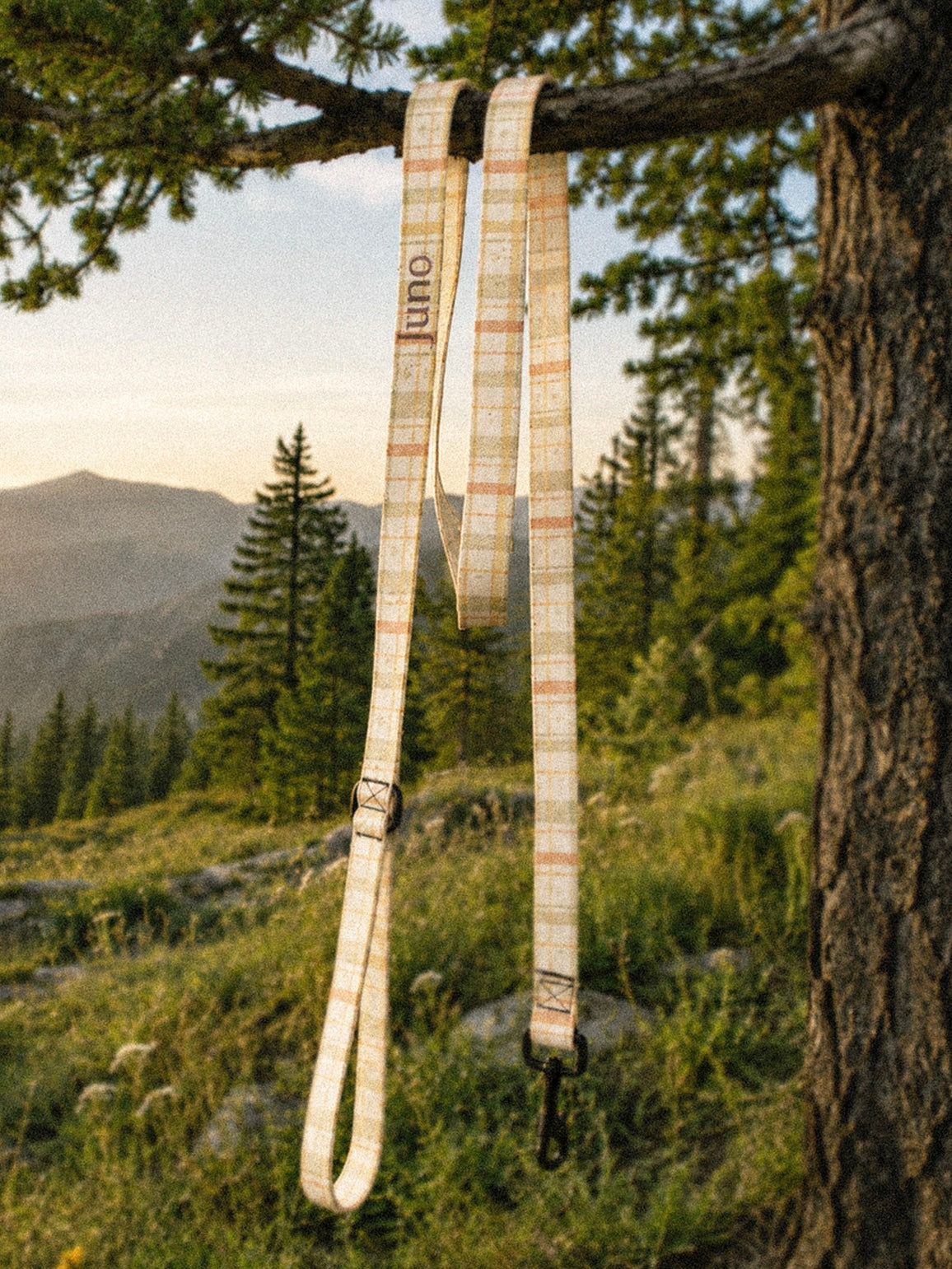 The leash coiled on a plain cream background, showing the handle loop, the adjustable slider and the black swivel snap hook. The webbing is a sage, gold and apricot plaid on cream, banded with rows of small motifs.