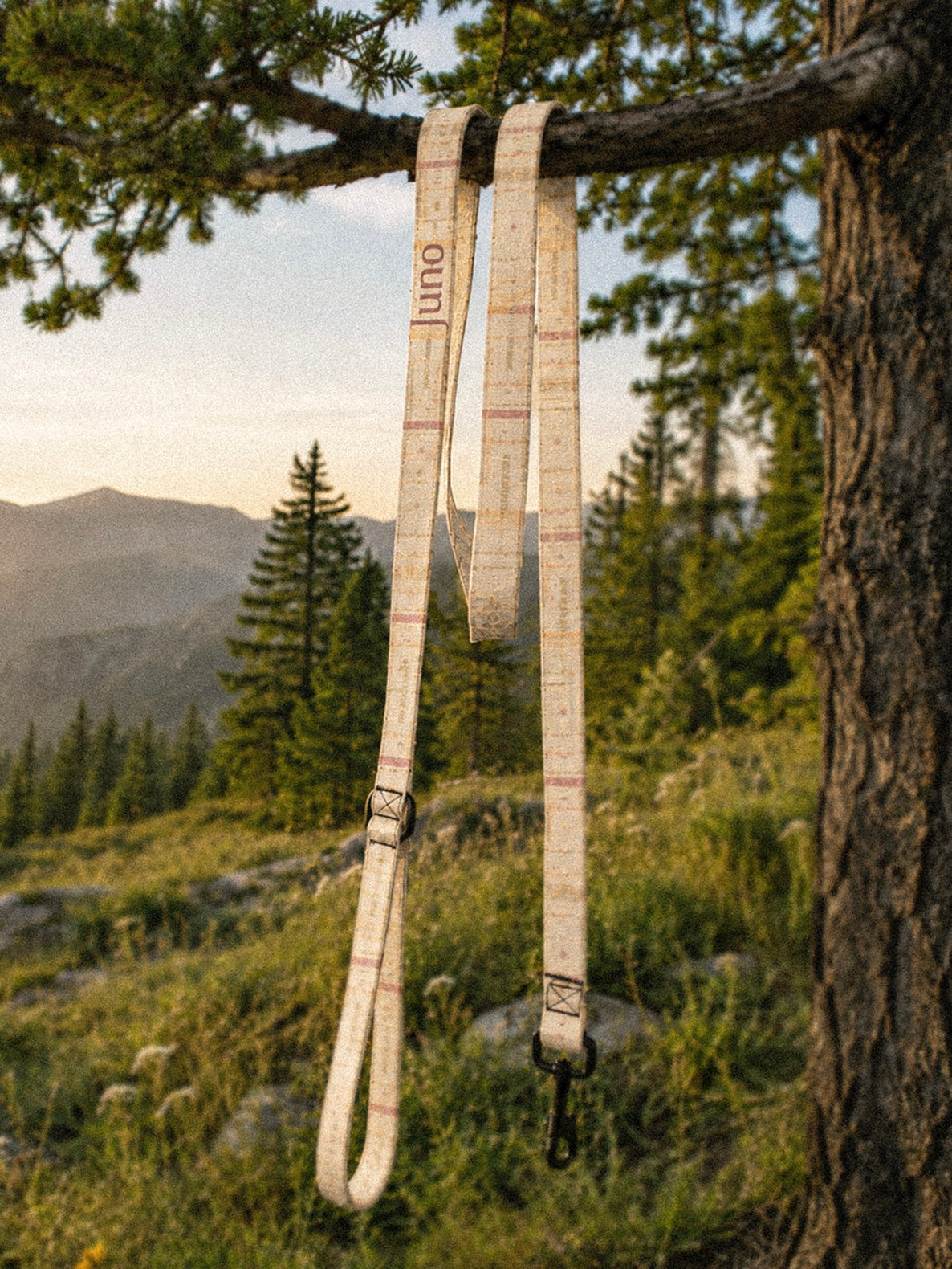The full length of the leash hangs from a tree branch outdoors, the padded handle loop at the top and the black swivel clasp at the bottom, conifers and a mountain slope beyond in golden light. The webbing is a cream plaid crossed by apricot, rose and sage lines, and the sample name Juno reads down the handle.