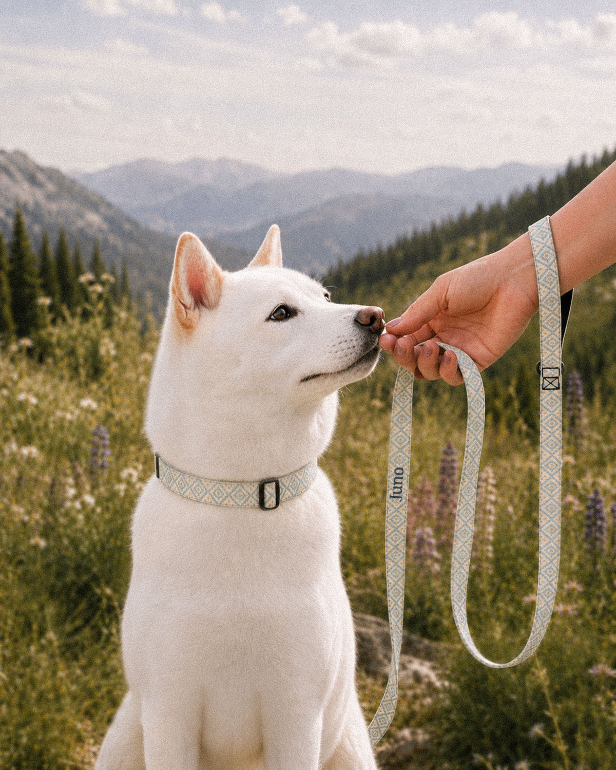 A white Shiba Inu sits in a mountain valley wearing a matching collar while a hand holds the looped leash beside it. The strap is cream, printed with dusty blue ikat diamonds picked out with gold and small cross motifs, with the sample name Juno running down its length.