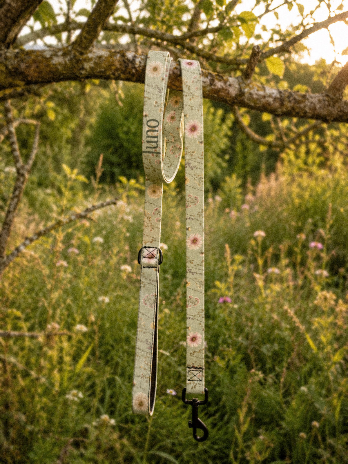 The full length of the leash hangs from a tree branch outdoors, the padded handle loop at the top and the black swivel clasp at the bottom, conifers and a mountain slope beyond in golden light. The webbing is sage green, printed with small white, pink and yellow blooms on fine stems, and the sample name Juno reads down the handle.