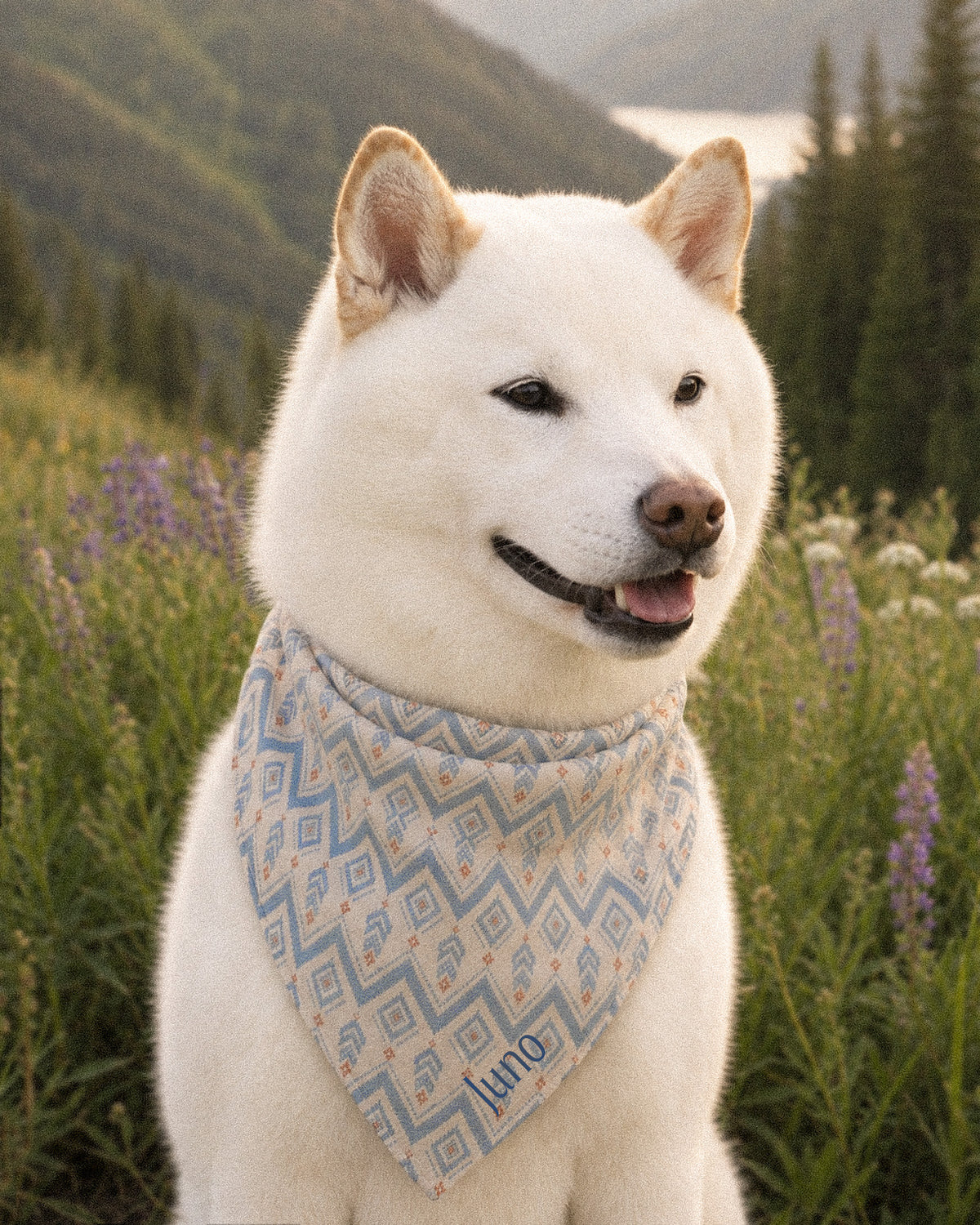 A white Shiba Inu wears the bandana knotted at the neck, seated in a meadow of purple lupines below green hills. The bandana is cream, printed with dusty blue zigzag chevrons and stepped diamond motifs with small rust accents, with the sample name Juno printed near the lower point.