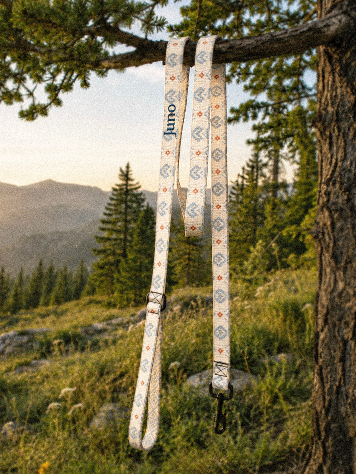 The full length of the leash hangs from a tree branch outdoors, the padded handle loop at the top and the black swivel clasp at the bottom, conifers and a mountain slope beyond in golden light. The webbing is cream, printed with dusty blue zigzag chevrons and stepped diamond motifs with small rust accents, and the sample name Juno reads down the handle.