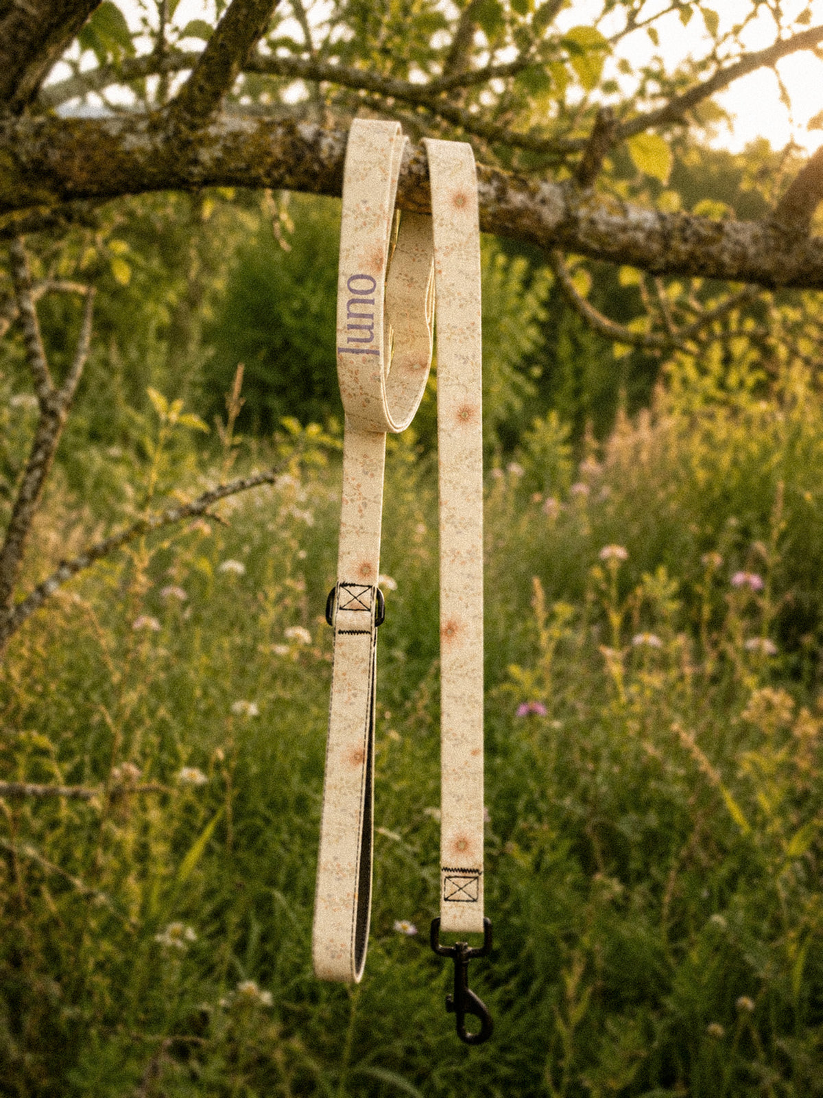 The full length of the leash hangs from a tree branch outdoors, the padded handle loop at the top and the black swivel clasp at the bottom, conifers and a mountain slope beyond in golden light. The webbing is soft butter-cream, printed with small apricot and coral blooms among fine sage stems, and the sample name Juno reads down the handle.